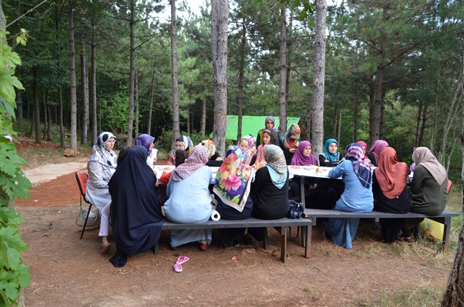 dsc_0574.jpg dsc_0574.jpg