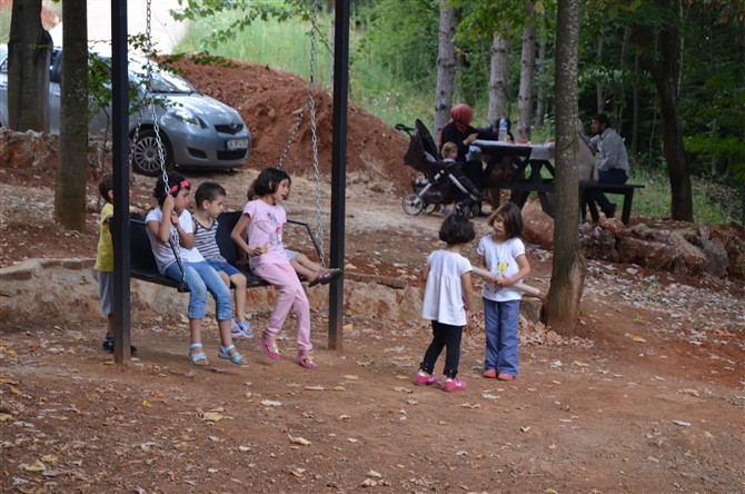 dsc_0592.jpg dsc_0592.jpg