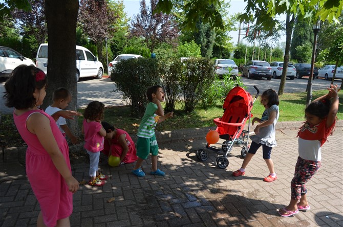 dsc_0747.jpg dsc_0747.jpg