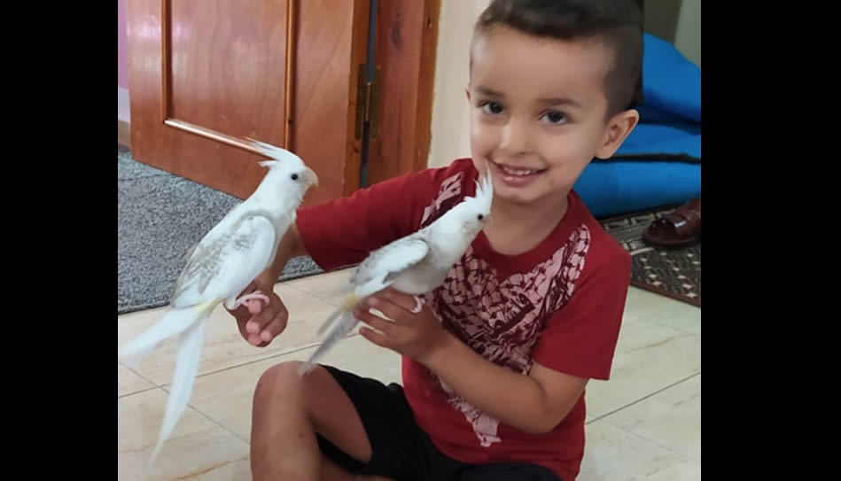 gaza-3.jpg