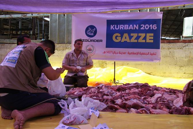 gazze_kurban2016-11.jpg gazze_kurban2016-11.jpg
