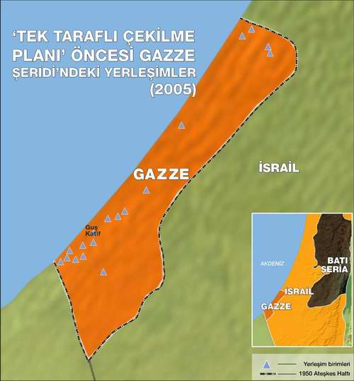 gazzeseridi052_0.jpg