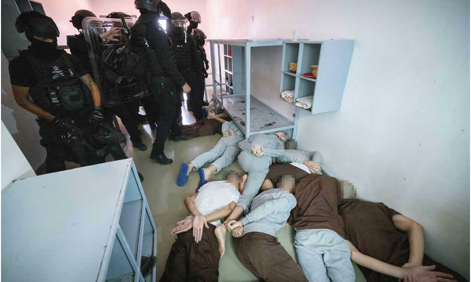 idam-1.jpg