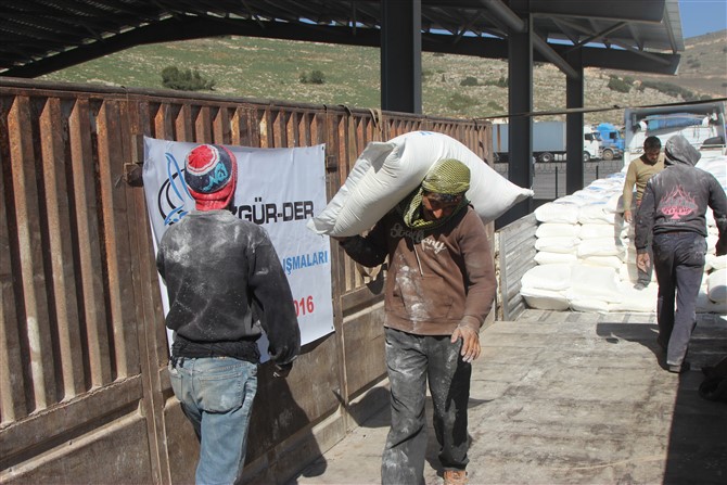 img_2549.jpg img_2549.jpg