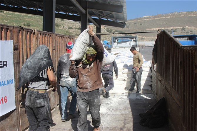 img_2561.jpg img_2561.jpg