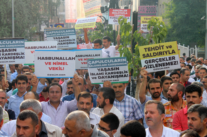 img_2931.jpg img_2931.jpg