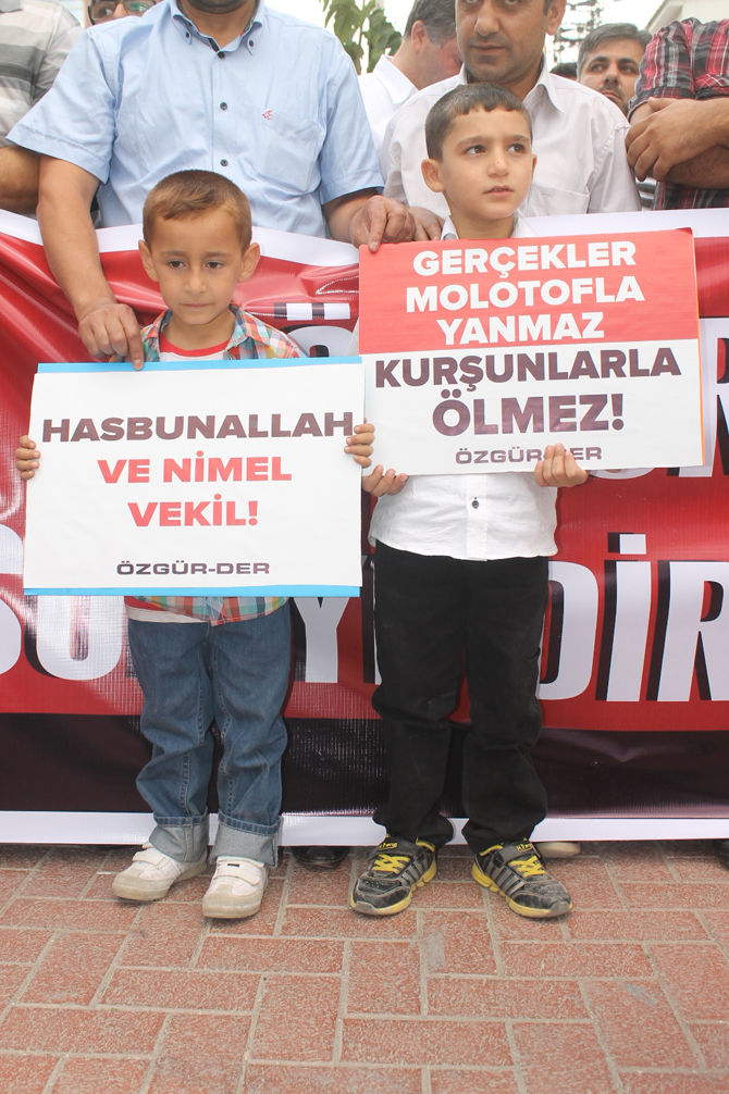 img_2989.jpg img_2989.jpg