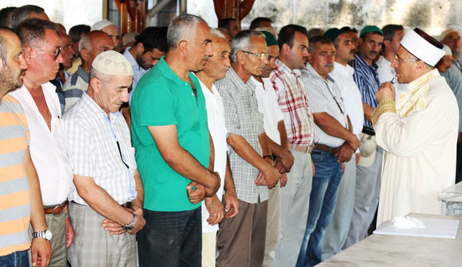 img_3650.jpg img_3650.jpg