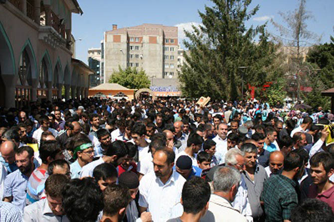 img_7102.jpg img_7102.jpg