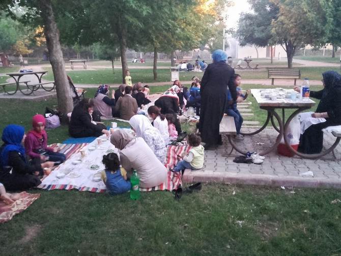 mara-20160626-02.jpg mara-20160626-02.jpg