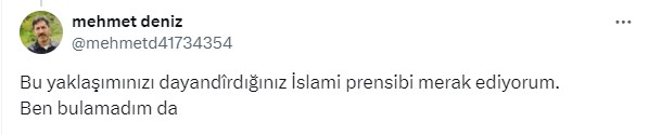 mehmetdeniz.jpg