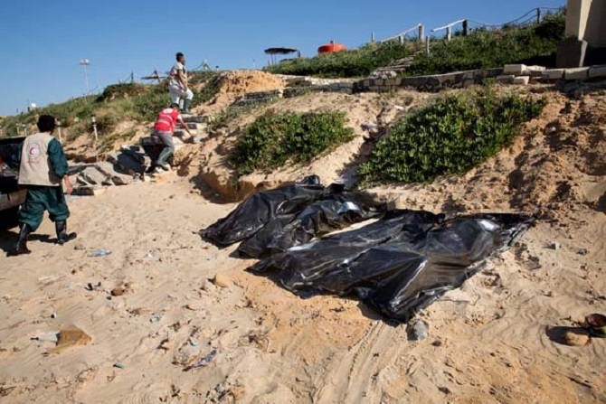 multeci..jpeg multeci..jpeg