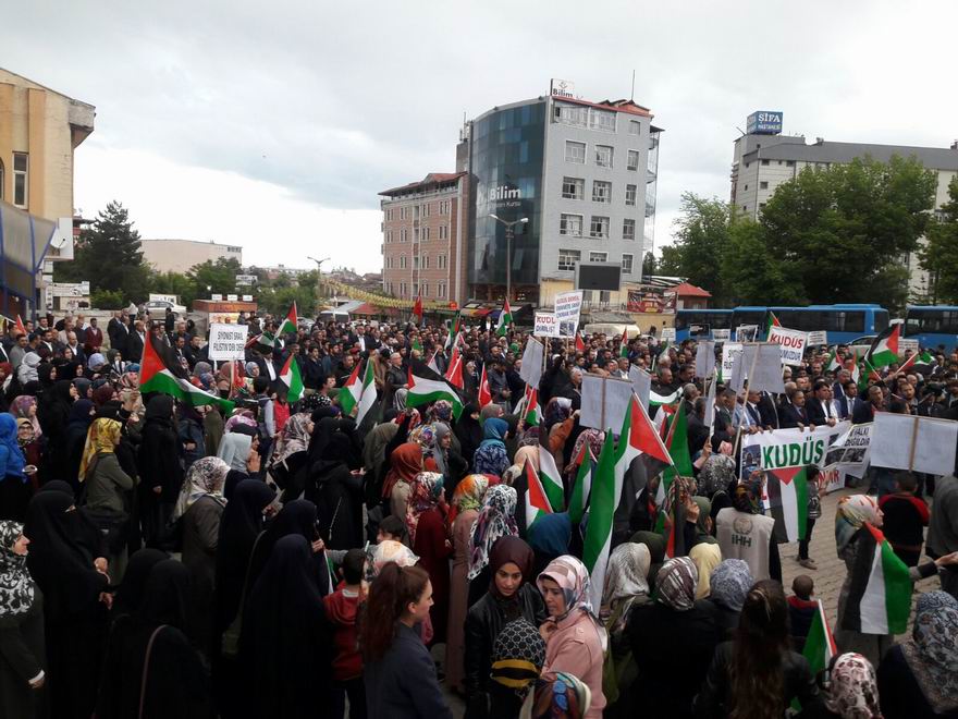 mus-20180515-03.jpg
