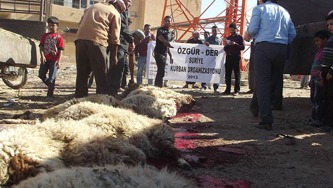 ozgur-der-suriye-kurban-2013-(3).jpg