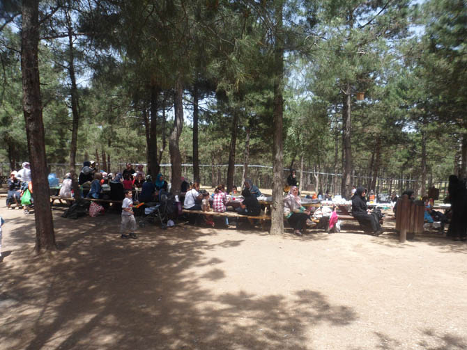 ozgur_cocuk_evi_piknik.jpg ozgur_cocuk_evi_piknik.jpg