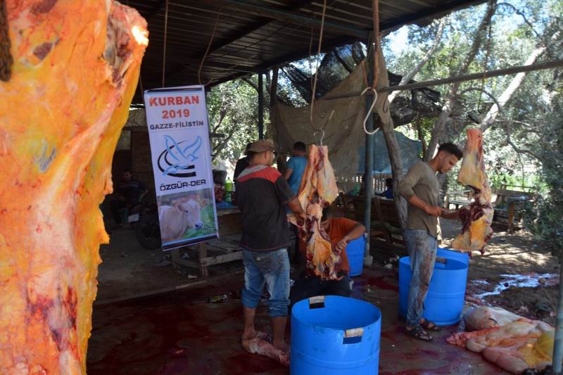 ozgurder_gazze_2019_kurban-1.jpg