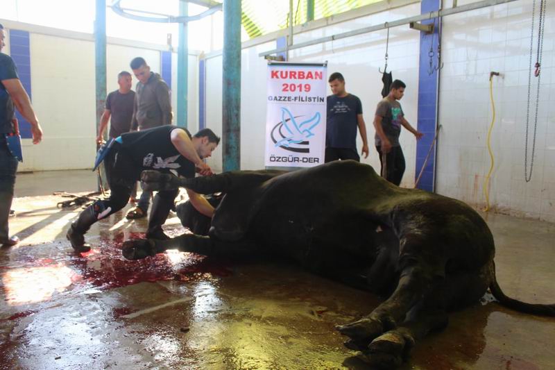 ozgurder_gazze_2019_kurban-2.jpg