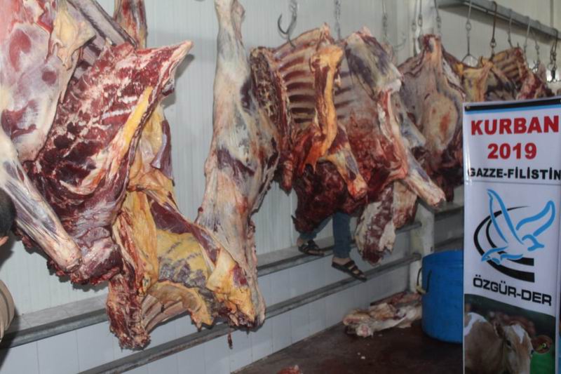 ozgurder_gazze_2019_kurban-7.jpg
