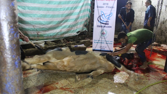 ozgurder_gazze_kurban_3-001.jpeg