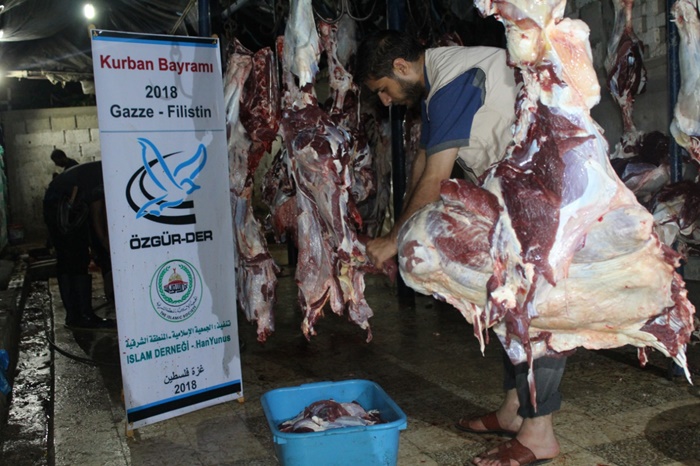 ozgurder_gazze_kurban_4-001.jpeg