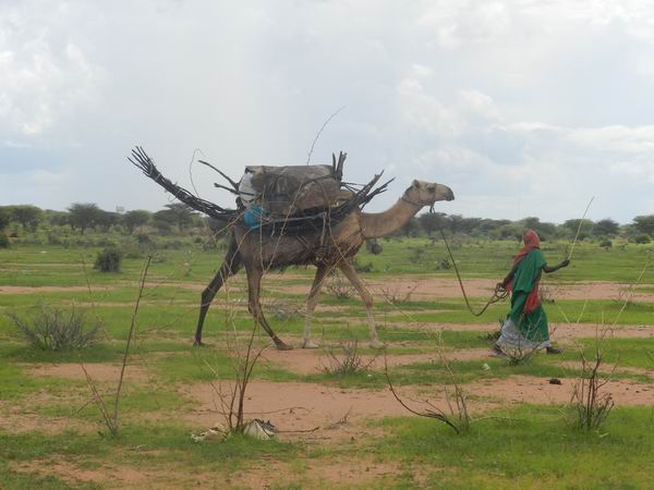 sediyani-20111115-22.jpg sediyani-20111115-22.jpg