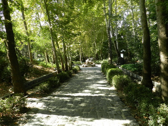 sediyani-2012-12821.jpg