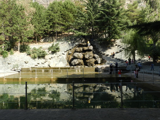 sediyani-2012-12824.jpg