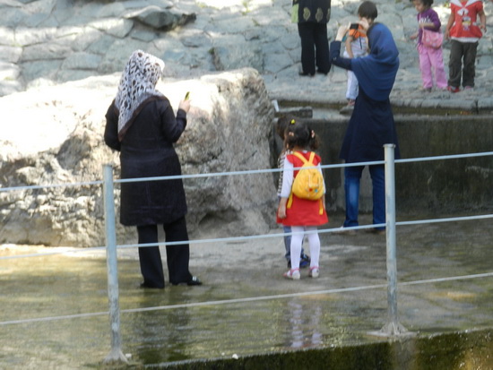 sediyani-2012-12828.jpg