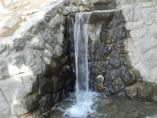 sediyani-2012-12830.jpg