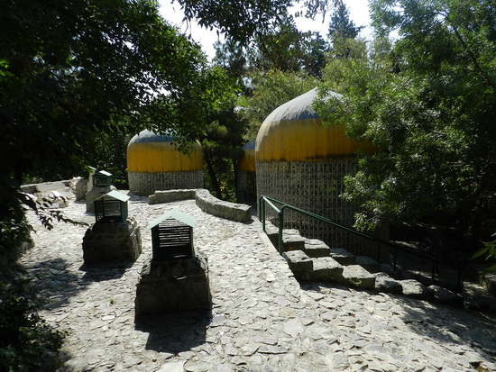 sediyani-2012-12831.jpg