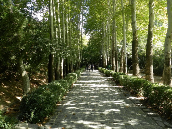 sediyani-20120118-03.jpg sediyani-20120118-03.jpg