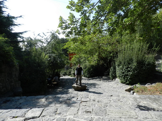 sediyani-20120118-04.jpg sediyani-20120118-04.jpg