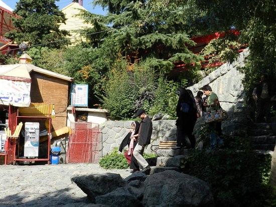sediyani-20120118-11.jpg sediyani-20120118-11.jpg
