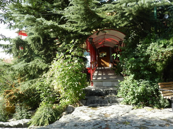 sediyani-20120118-18.jpg sediyani-20120118-18.jpg