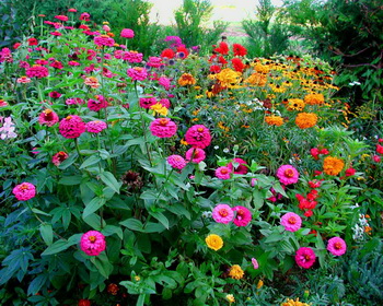 sediyani-20120123-04.jpg
