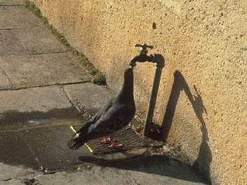 sediyani-20120123-17.jpg