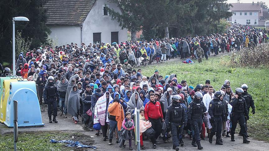 siginmaci1.jpg siginmaci1.jpg