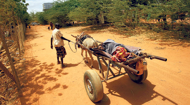 somali02.jpg somali02.jpg