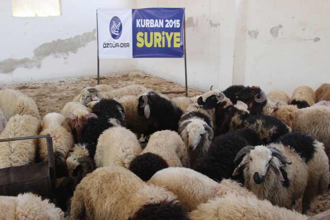 suriye_kurban-20150926-1.jpg