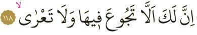 taha-118.jpg