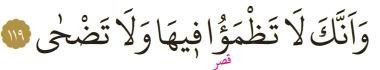 taha-119.jpg