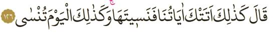 taha-126.jpg