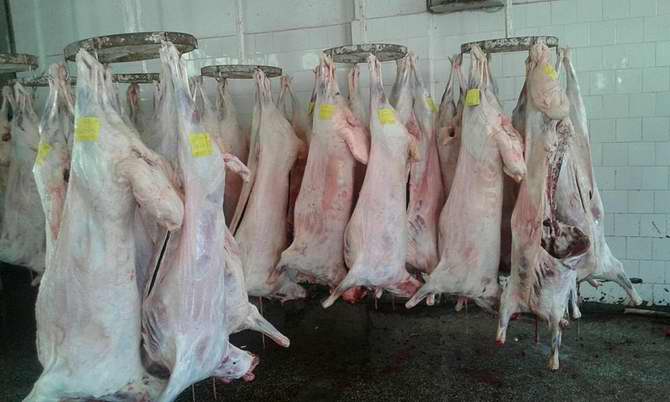 tatvan_kurban-20150924-1.jpg tatvan_kurban-20150924-1.jpg