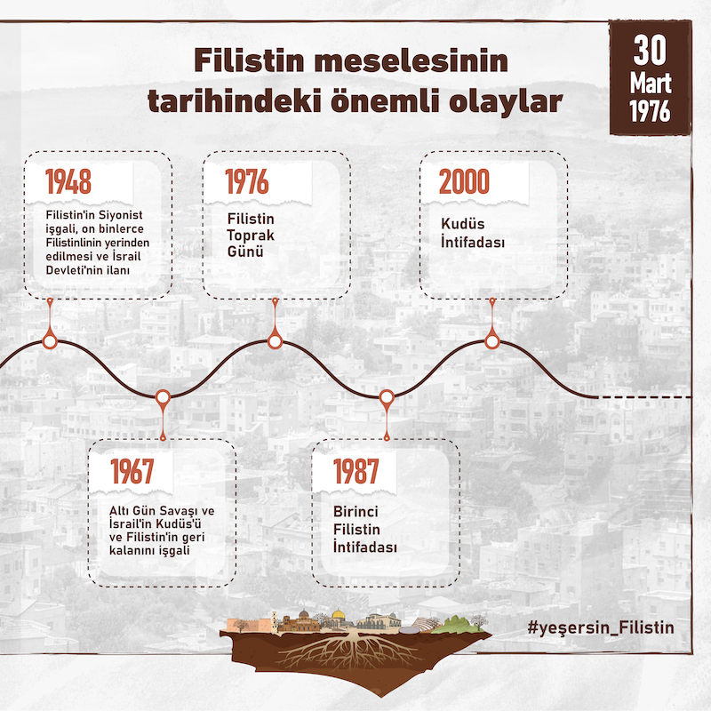 timeline2.jpg
