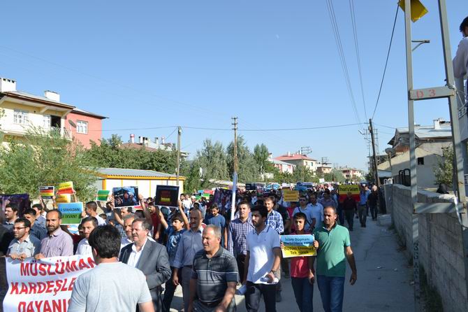 van-020130815-10.jpg van-020130815-10.jpg