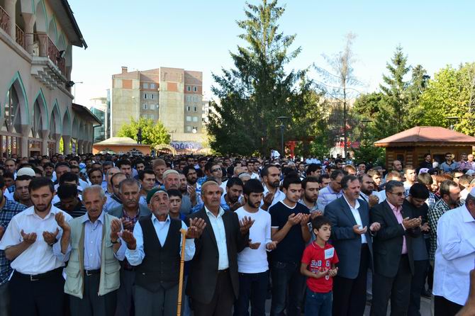 van-20130814-2.jpg van-20130814-2.jpg