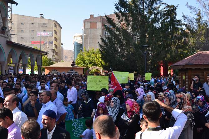 van-20130814-5.jpg van-20130814-5.jpg