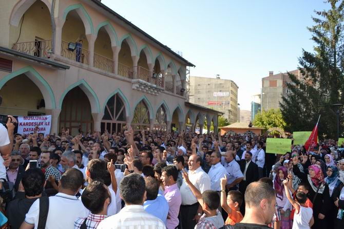 van-20130814-6.jpg van-20130814-6.jpg