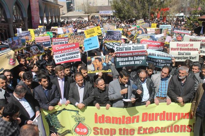 van-20140411-04.jpg van-20140411-04.jpg