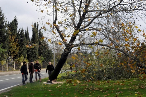yalova1.jpg yalova1.jpg
